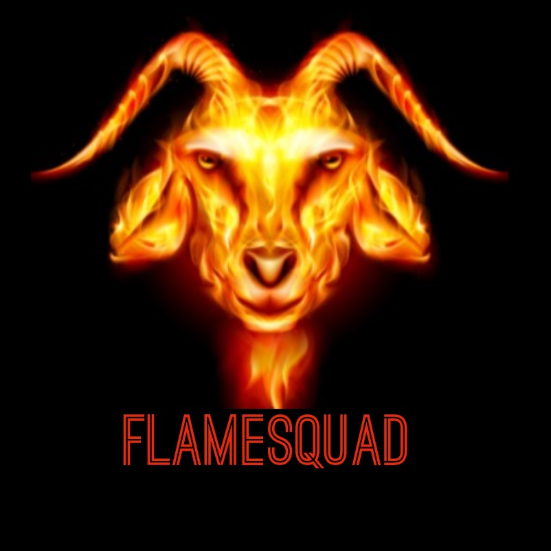 FLAMESQUAD RELOADED