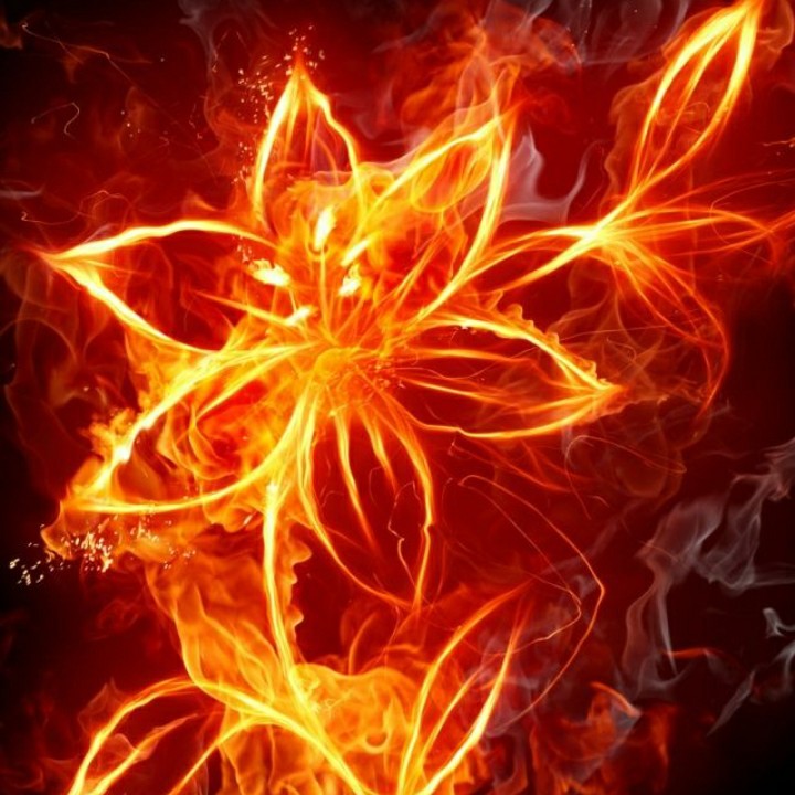 F.C.O.F.Y. Force of Fury