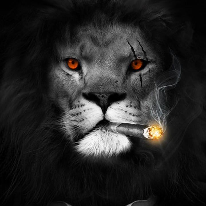 Owns Crew