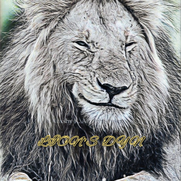 The Lion's Dyn Entertainment