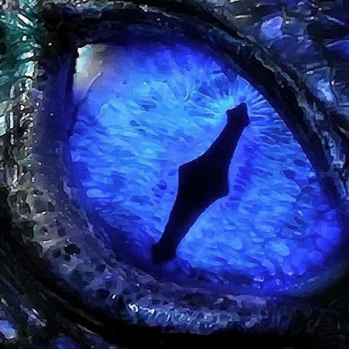 The Dragon Speaks