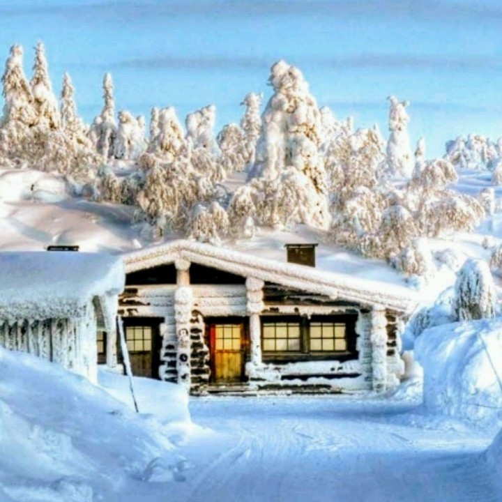 Финская Зима Фото