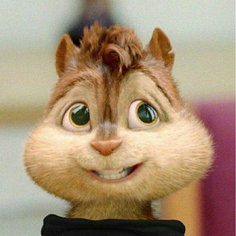 С днем рождения бурундук
