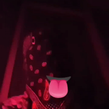 Ladro450 - Pussymonster 🙈