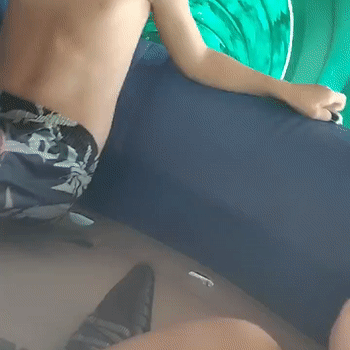 VID20231220094825
