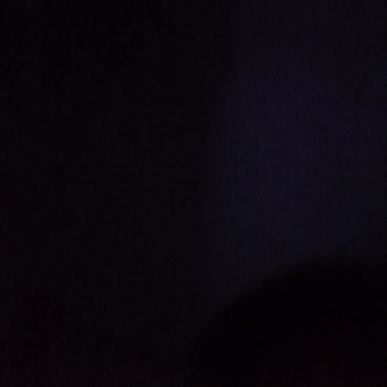 BALD KOMMT EIN SONG RAUS WIEDER
