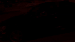 Bottom Freestyle