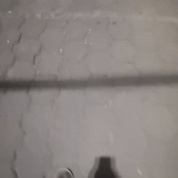 video-Bay-Z (22:32)