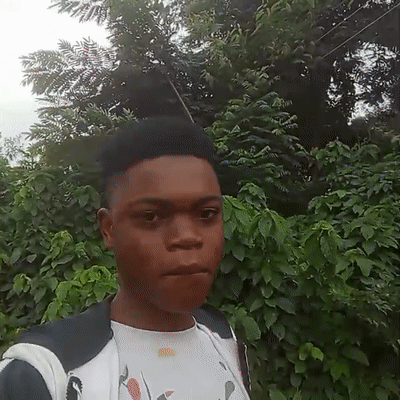 John Wise light boi word 