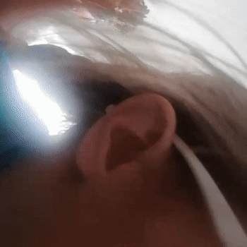 video-Johnson (16:12)