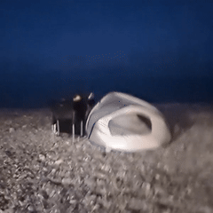freestyle sur mocofar busco la luz del faro 