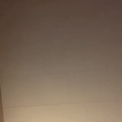 TrapTalk (20:38:40)