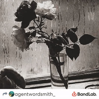 Dark Roses, Weeping  Willows