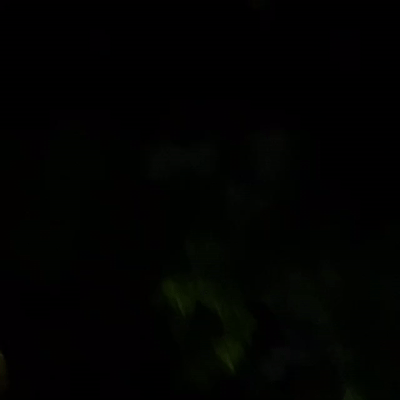 (INSANITY) (OFFICIAL VIDEO)