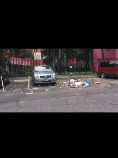 ch1no42O - no al maltrato animal 3