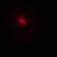 Hit the block (04:09:36)