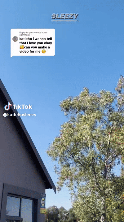 K.DK
