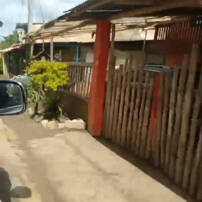 viajando 