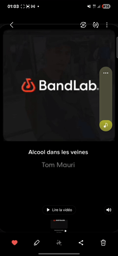 Alcool dans les veines 