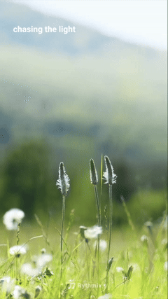 whispers of hope 