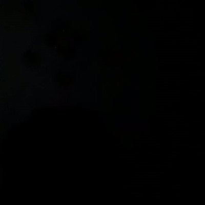 STAI ZITTO 