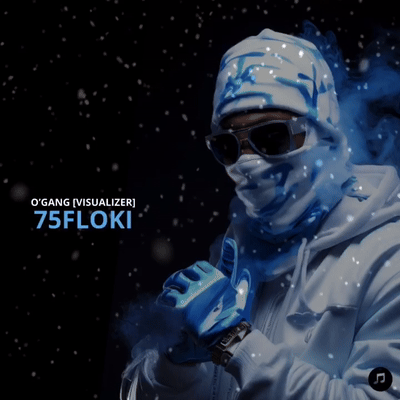 75FLOKI [VISUALIZER]