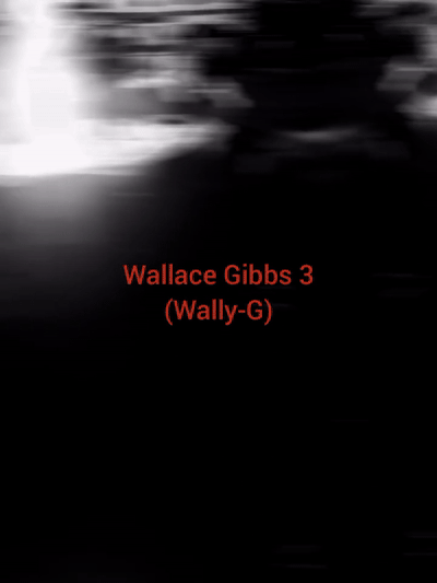 "the WRLD" WALLY-G