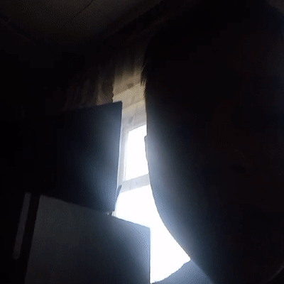 копаю лет назад