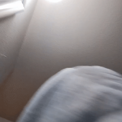 freestyle