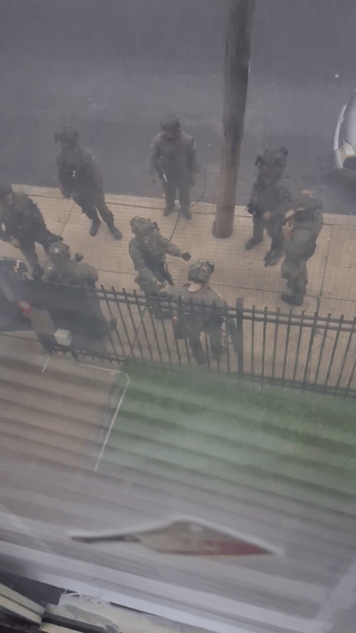 swat team 5 am