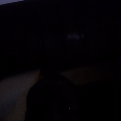 video-PANIC! (18:43)