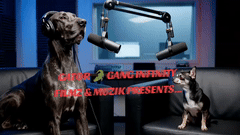 GATOR GANG INFINITY FILMZ MUZIK PRESENTS...HIP-HOP COMEDY MOMENT...