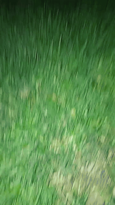 cr👹☄️