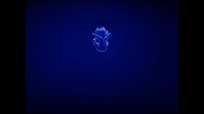 just a Dream Cover 