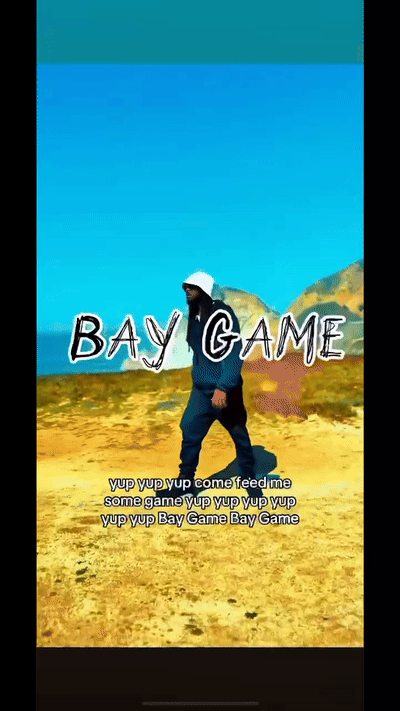 Bay Game