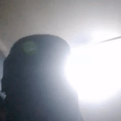 ogo 