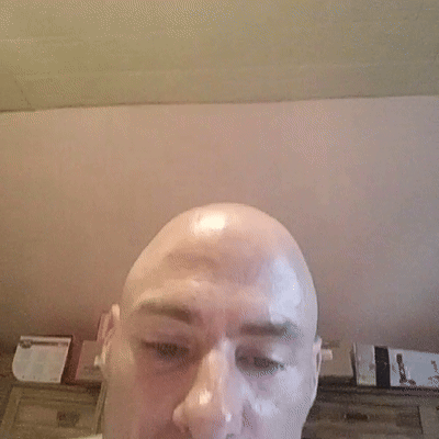 domme gans 4 laatste hier