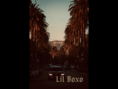Lil Boxo-J6-unfinished 