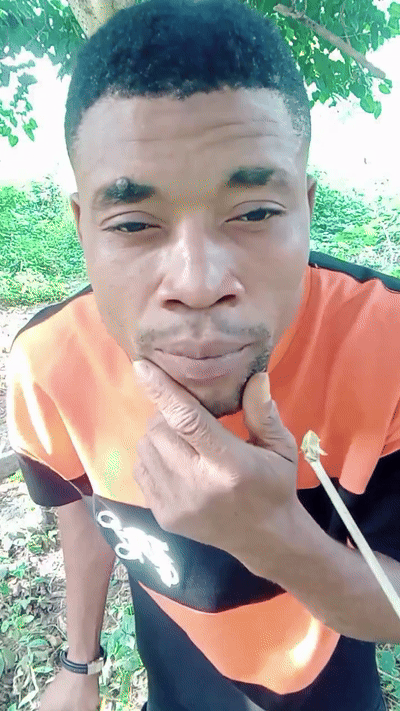 GENTLE EFFIZY 👋 bombati🦞🦞