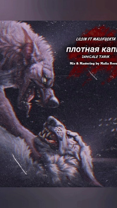Плотная Каппа 