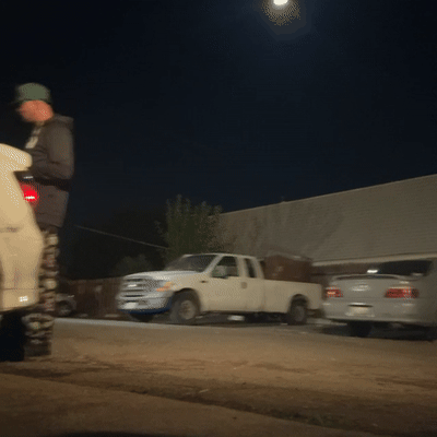 Alligator (18:55:56)