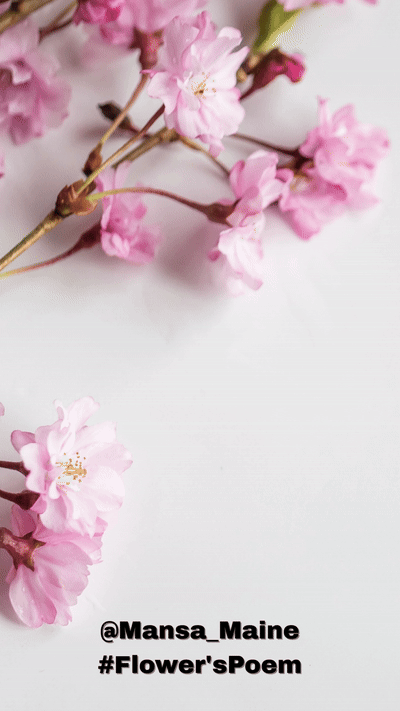 Flower's Poem by Mansa Maine 