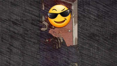1000000591