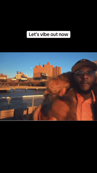 let’s vibe …..childsway featuring Big Bushi  video out now 