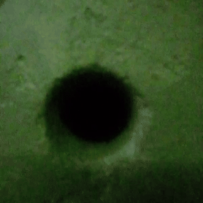 Noches oscuras 