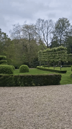 My Garden 