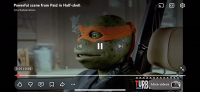 nigga turtles 