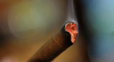 PAUSE - WANT DA SMOKE - OFFICIAL