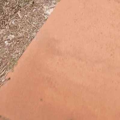 walking