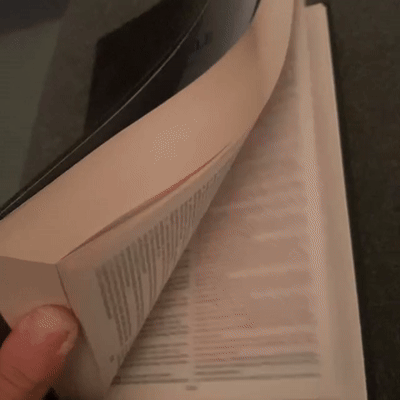 studying bible 